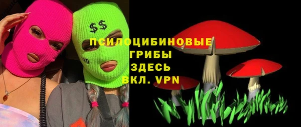 кокаин перу Богданович
