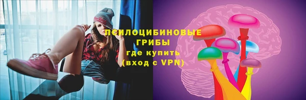 первитин Богородск
