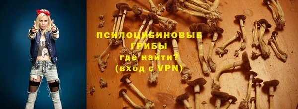 первитин Богородск