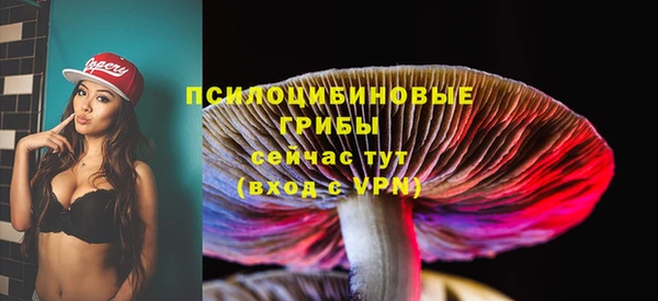 первитин Богородск
